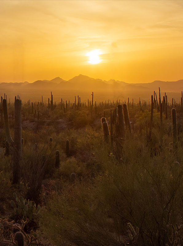 Sun setting over Arizona desert